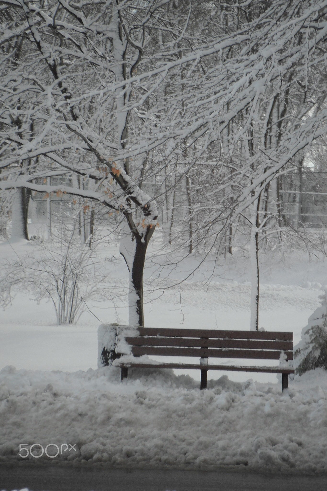 FujiFilm FinePix XP10 (FinePix XP11) sample photo. Snowy bench photography