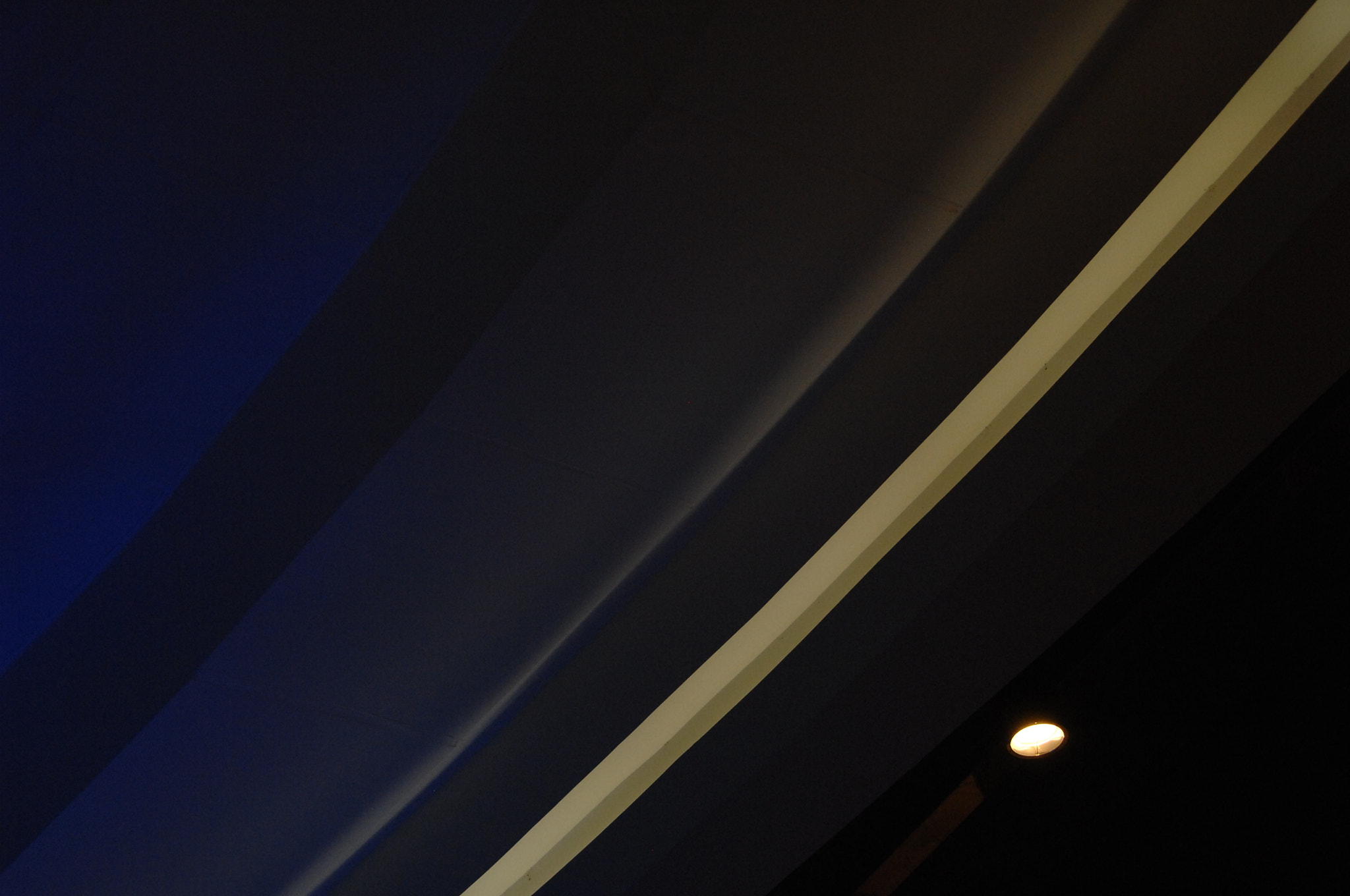Nikon D2X sample photo. .. photography