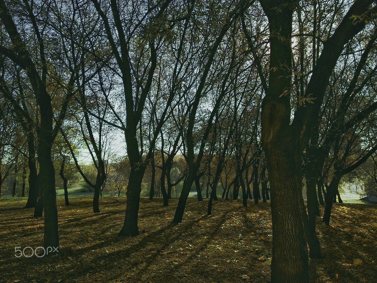 ASUS ZenFone 2 (ZE500CL) sample photo. Shadows photography