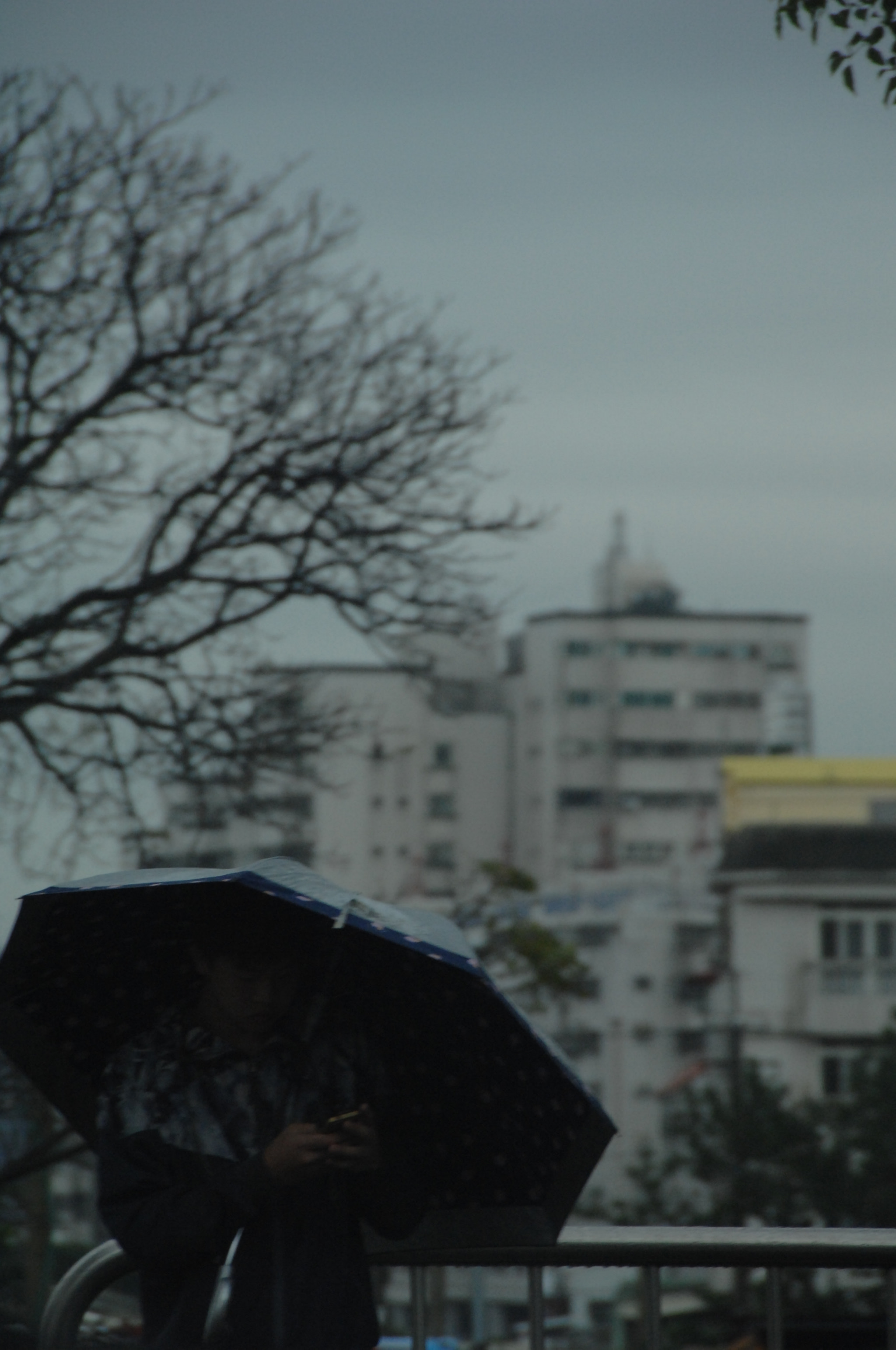 Nikon D2X sample photo. .. photography