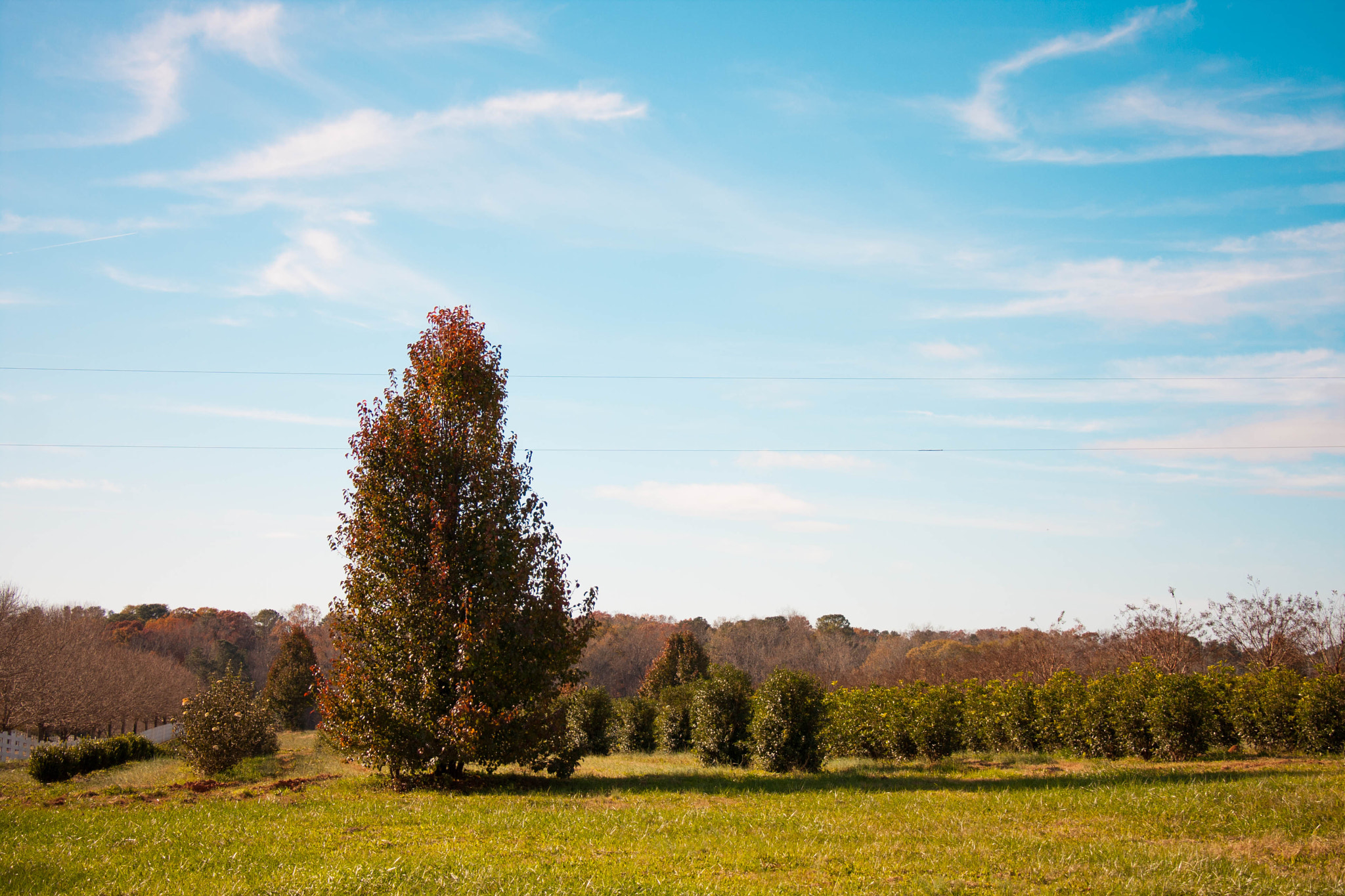 Canon EOS 40D + Canon EF-S 18-135mm F3.5-5.6 IS STM sample photo. Heaven photography