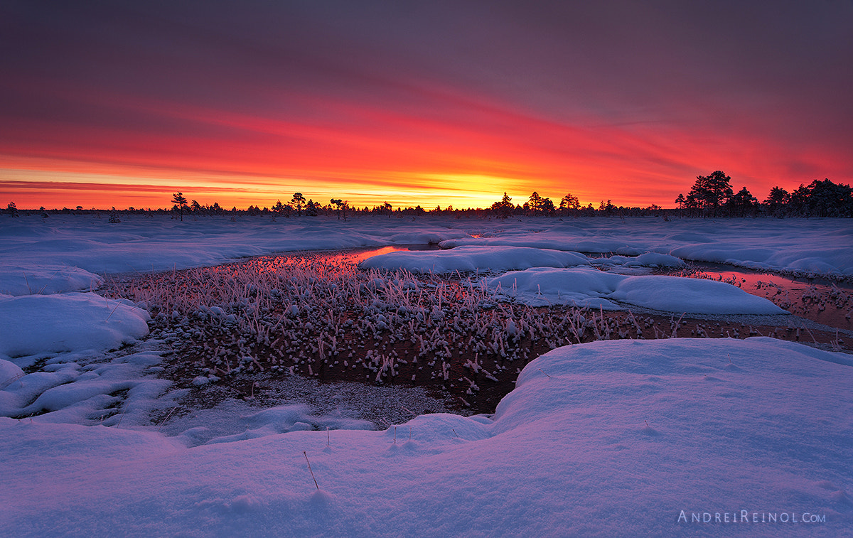 Beauty of winter morning