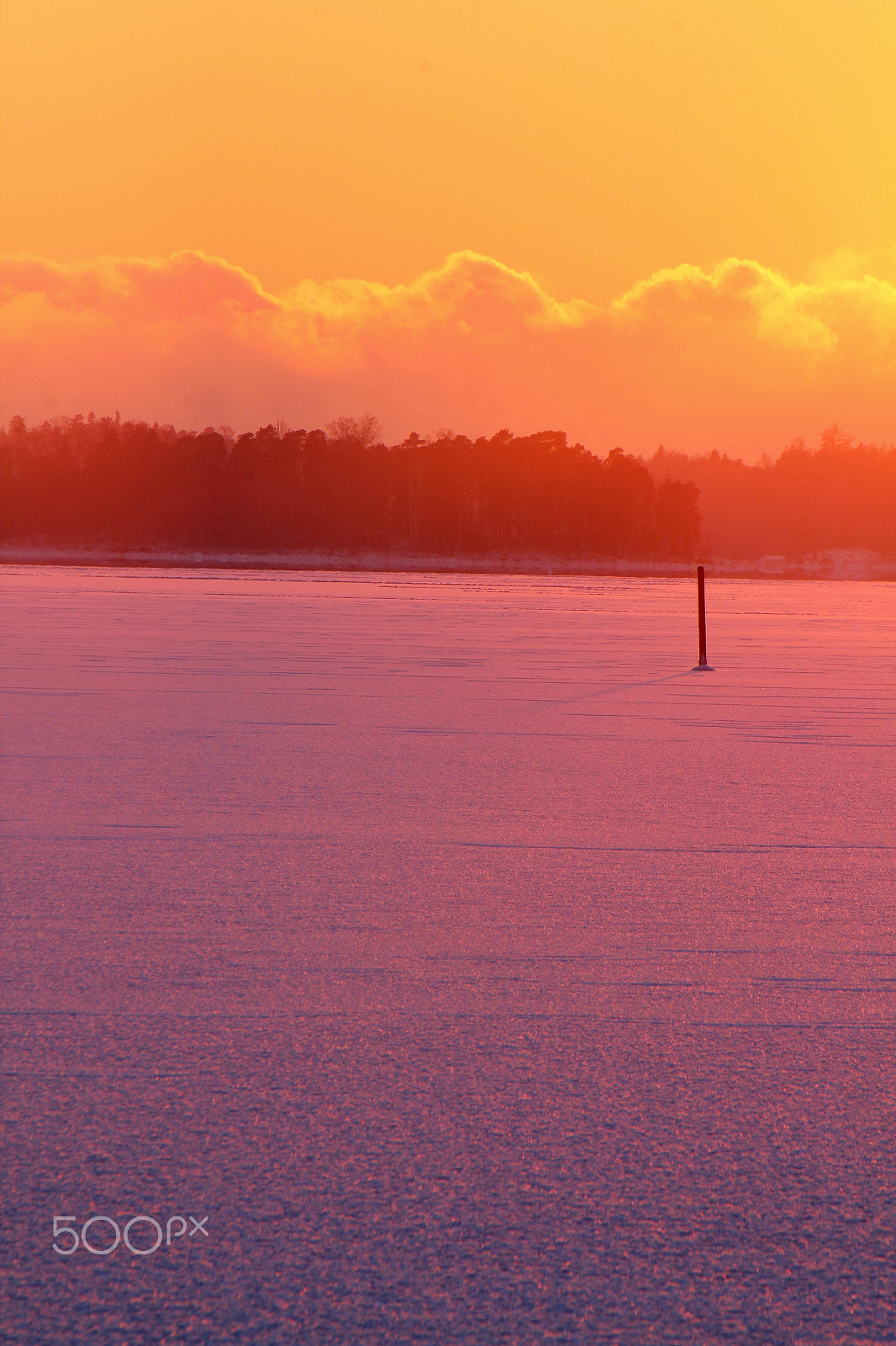 Canon EF-S 55-250mm F4-5.6 IS sample photo. Peachy photography