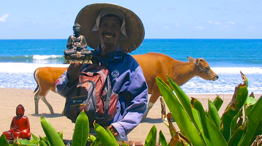 Canon POWERSHOT A70 sample photo. La vache de bali photography