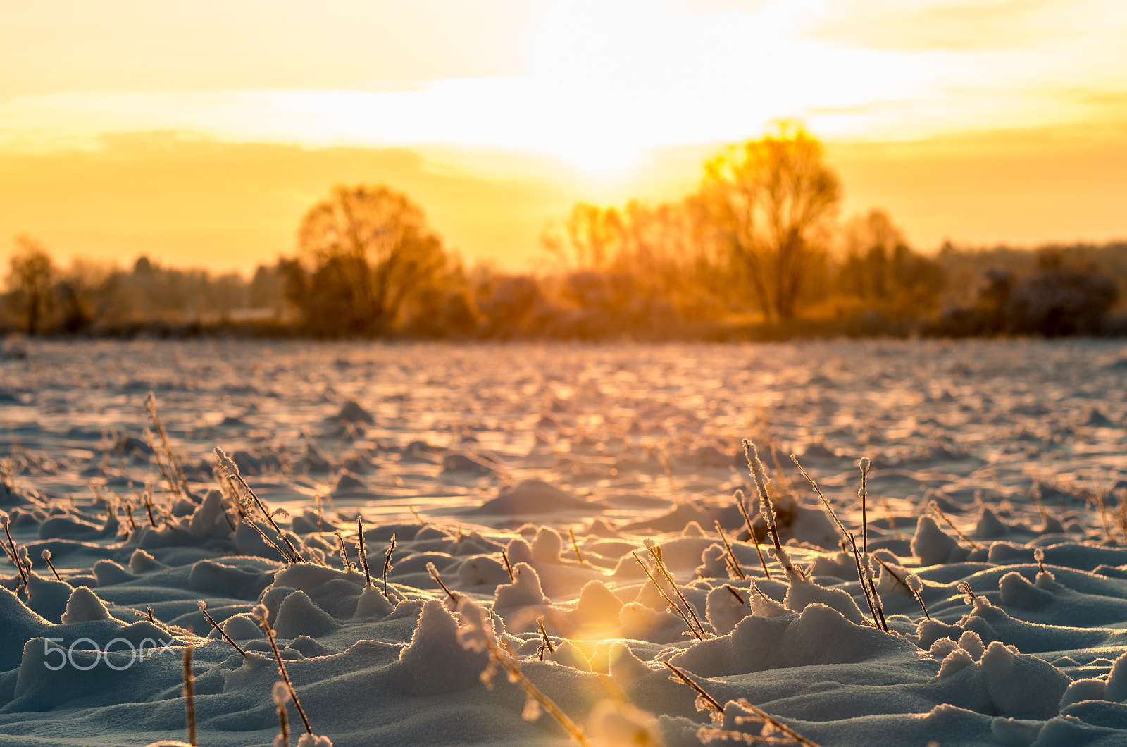Pentax K-50 sample photo. Sunrise at snowy frosty field photography