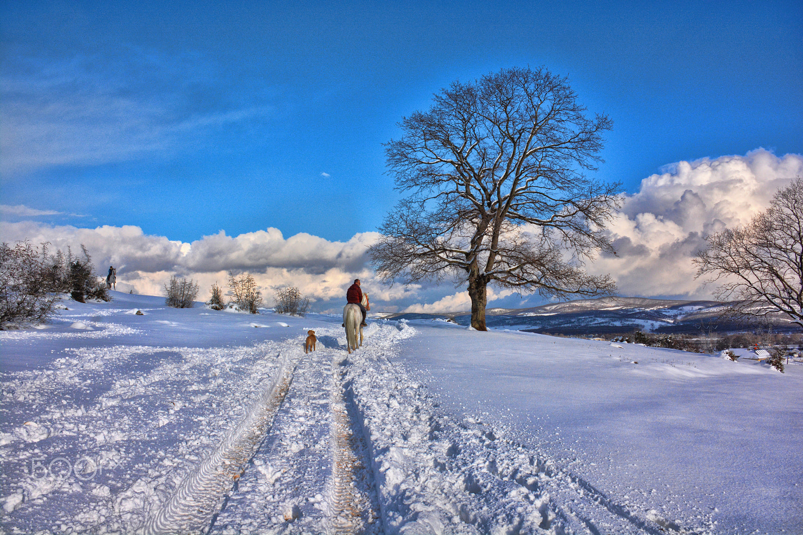 IX-Nikkor 60-180mm f/4.5-5.6 sample photo. To travel on horseback in the snow photography