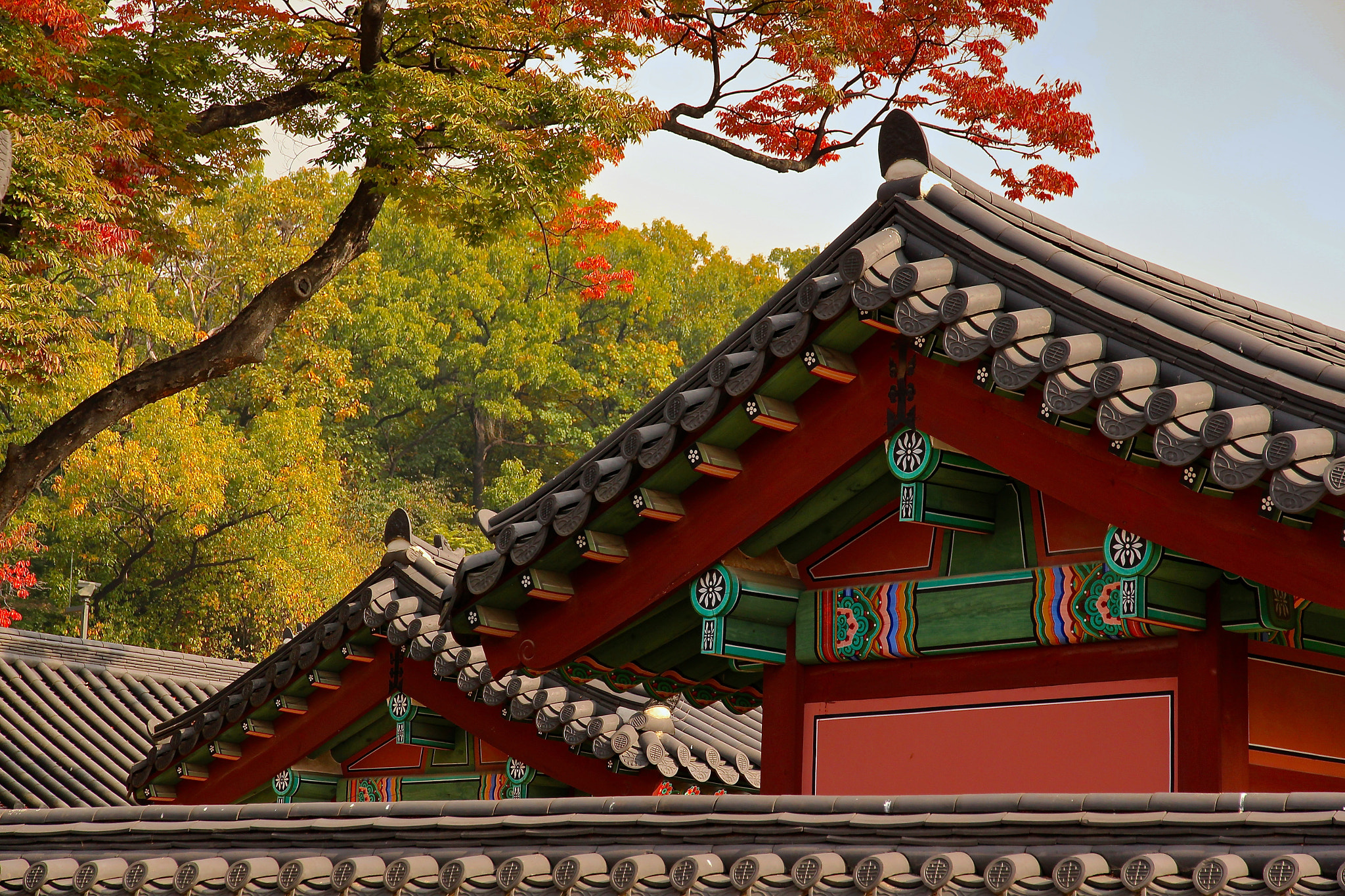 Canon EOS 650D (EOS Rebel T4i / EOS Kiss X6i) sample photo. Fall in love with seoul photography