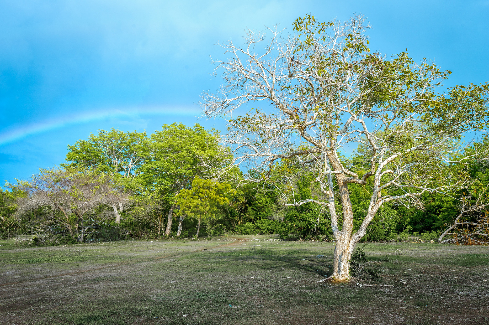 Sony a7 II + Canon EF 16-35mm F2.8L USM sample photo. Where the clouds are far behind photography