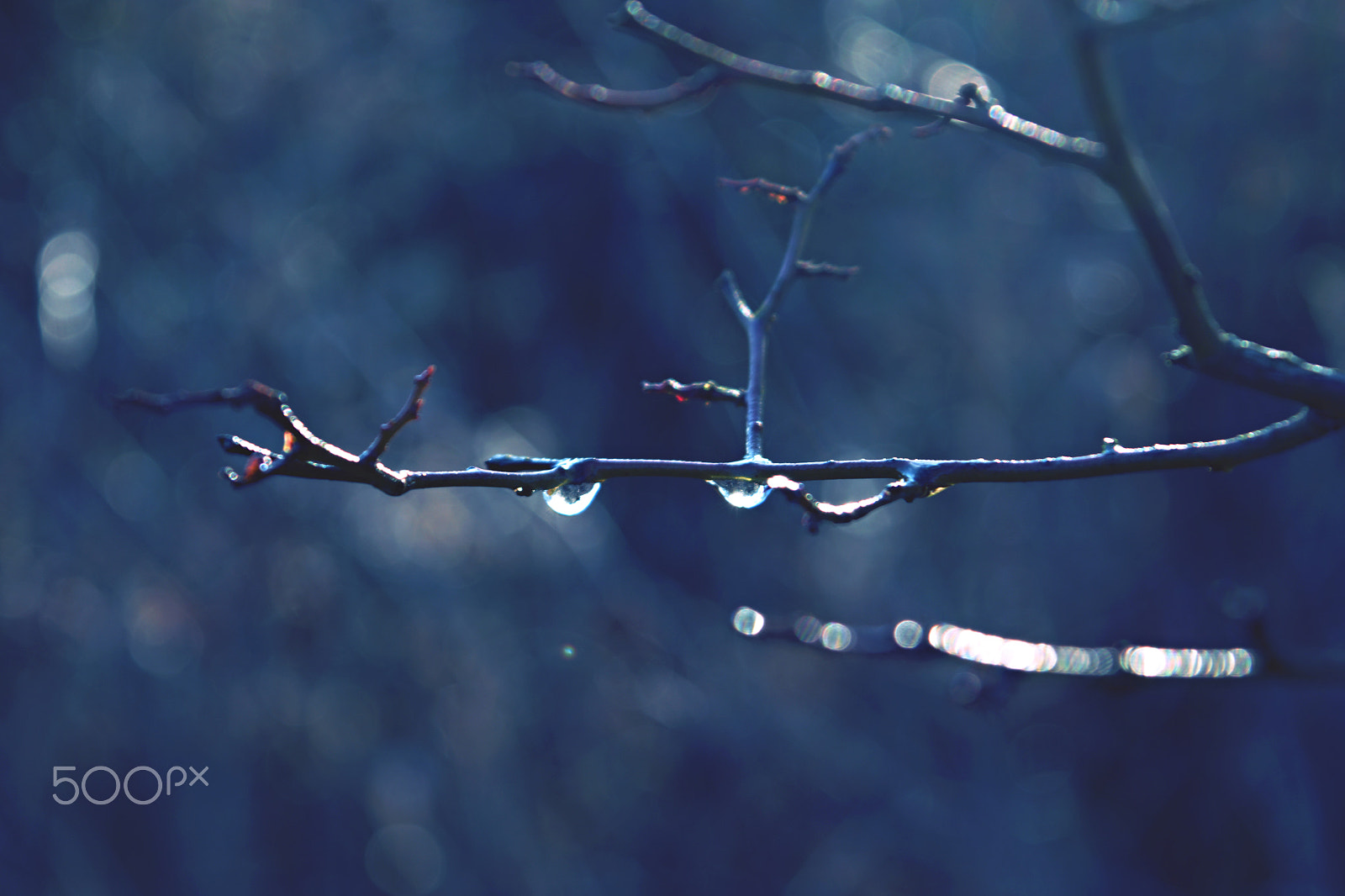 18.00 - 55.00 mm f/3.5 - 5.6 sample photo. Teardrops photography