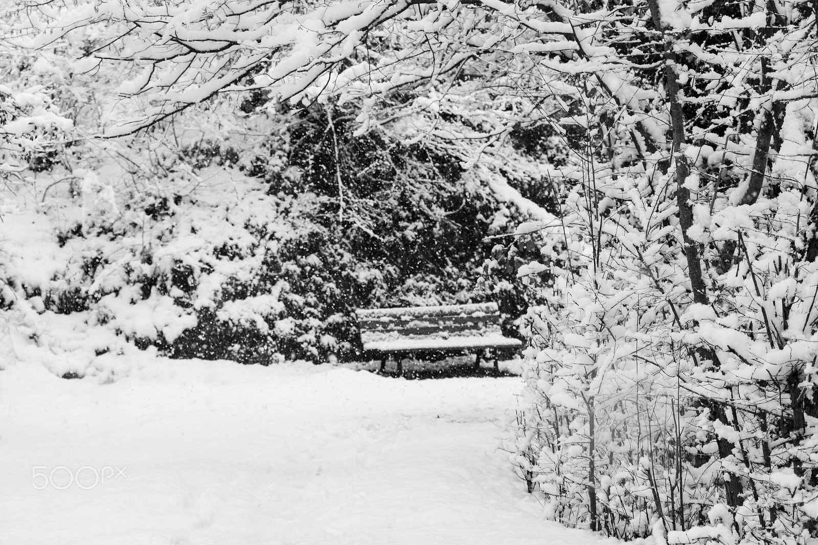 Canon EF-S 18-135mm F3.5-5.6 IS STM sample photo. Degagna in the snow photography