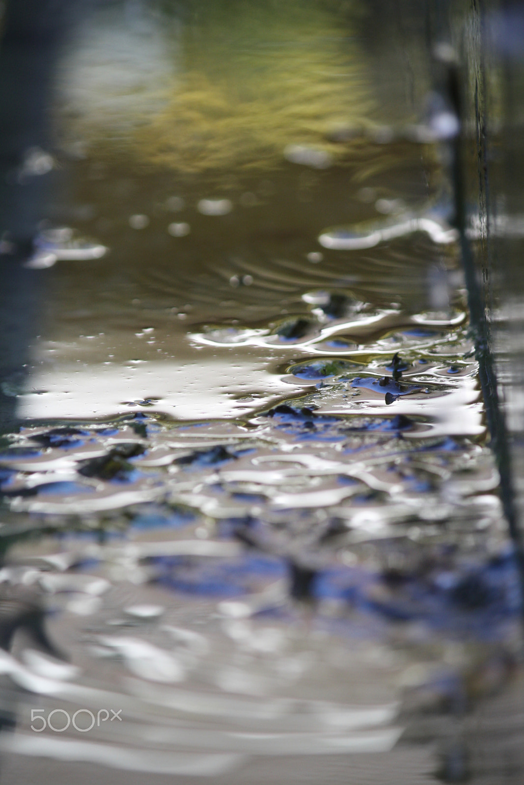 Canon EOS 1000D (EOS Digital Rebel XS / EOS Kiss F) sample photo. Calm reflection photography