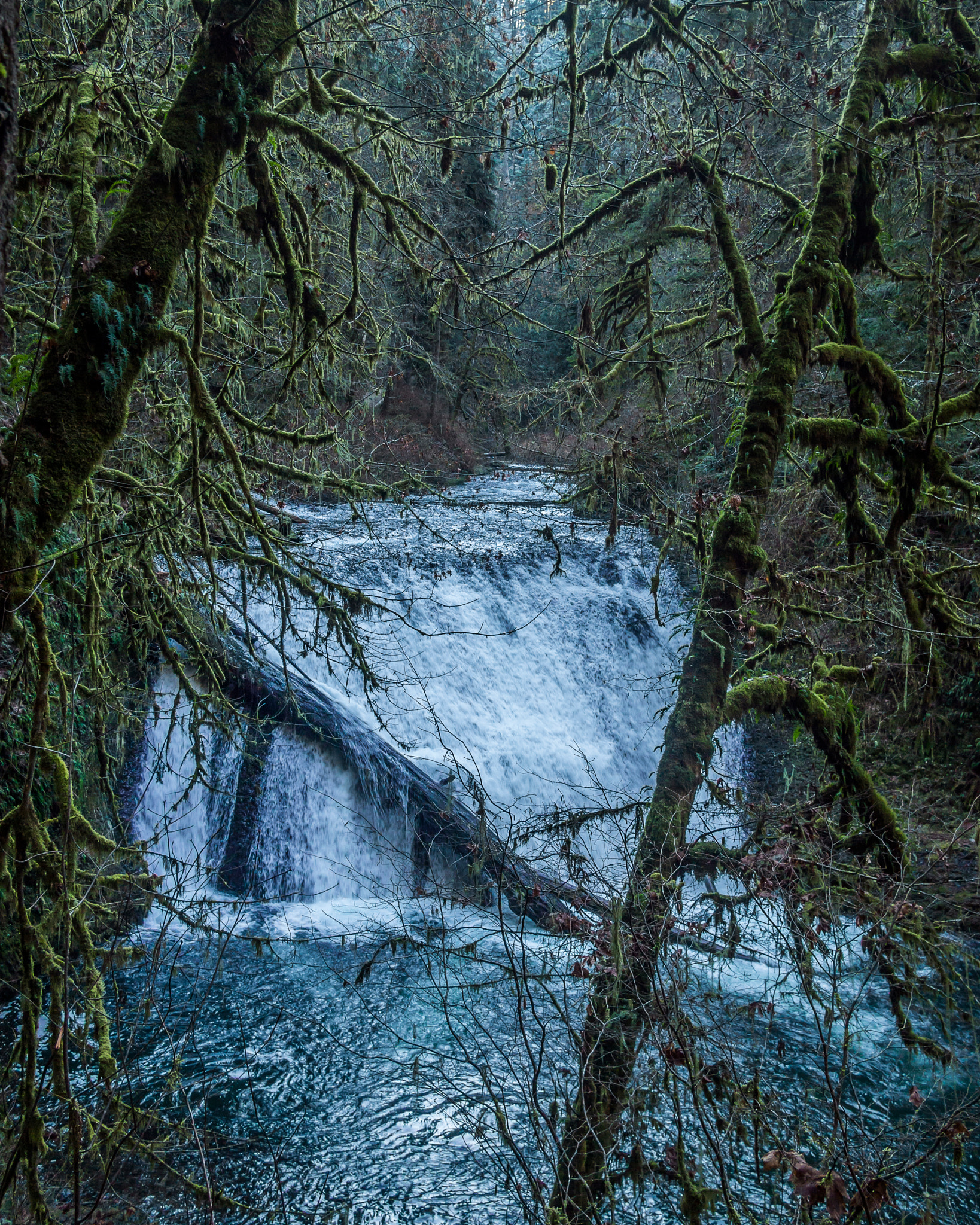 Olympus PEN E-PL3 sample photo. Lower north silver falls photography