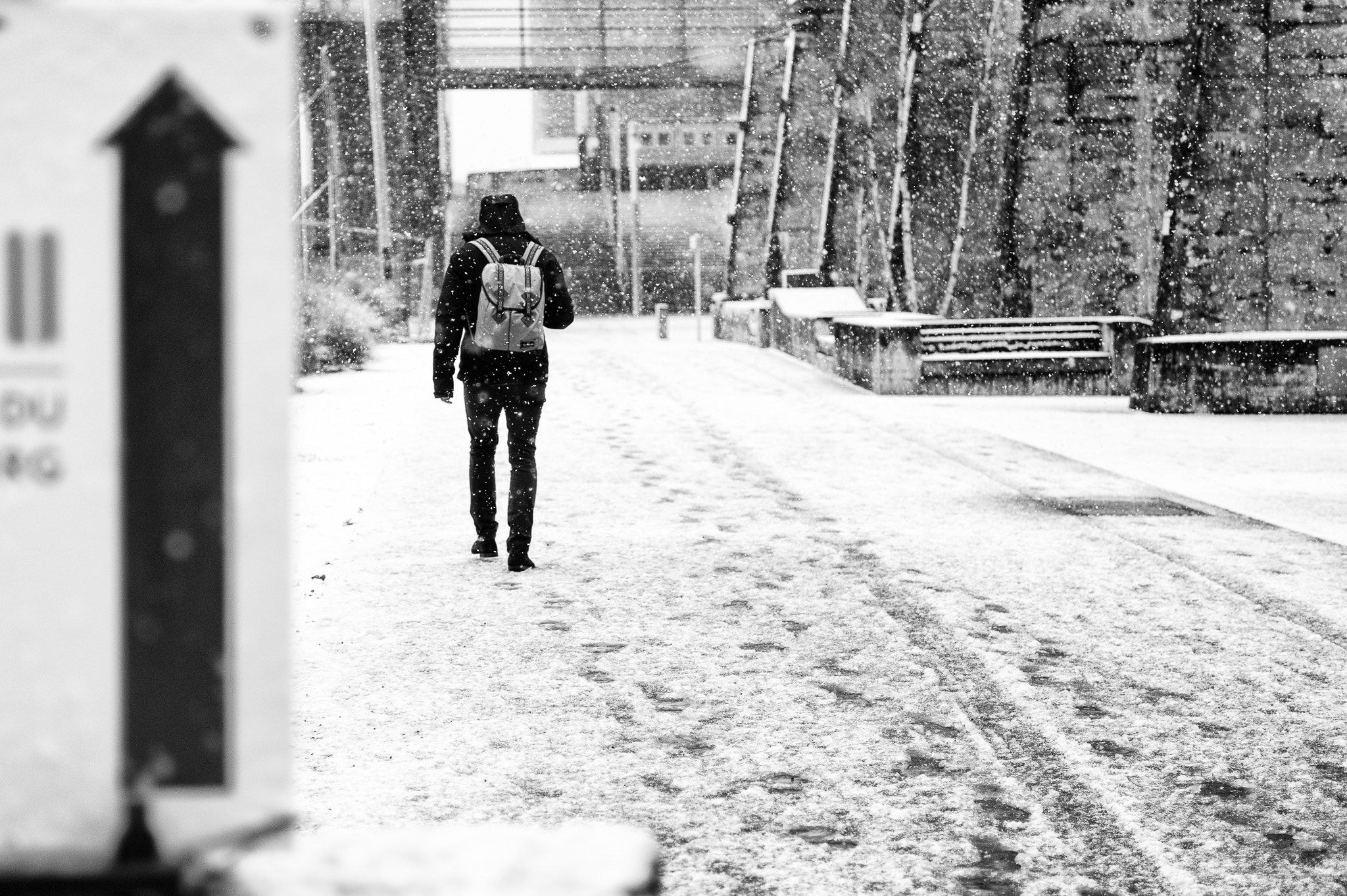 Summicron-M 50mm f/2 (IV, V) sample photo. Snowy photography
