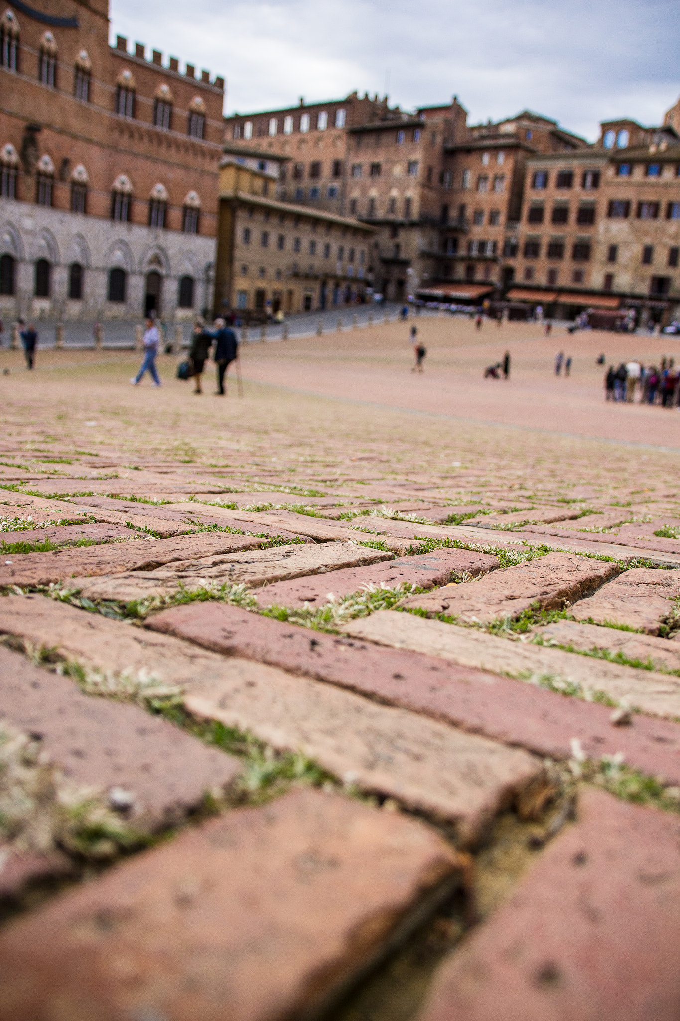 Sigma 18-250mm F3.5-6.3 DC OS HSM sample photo. Siena photography