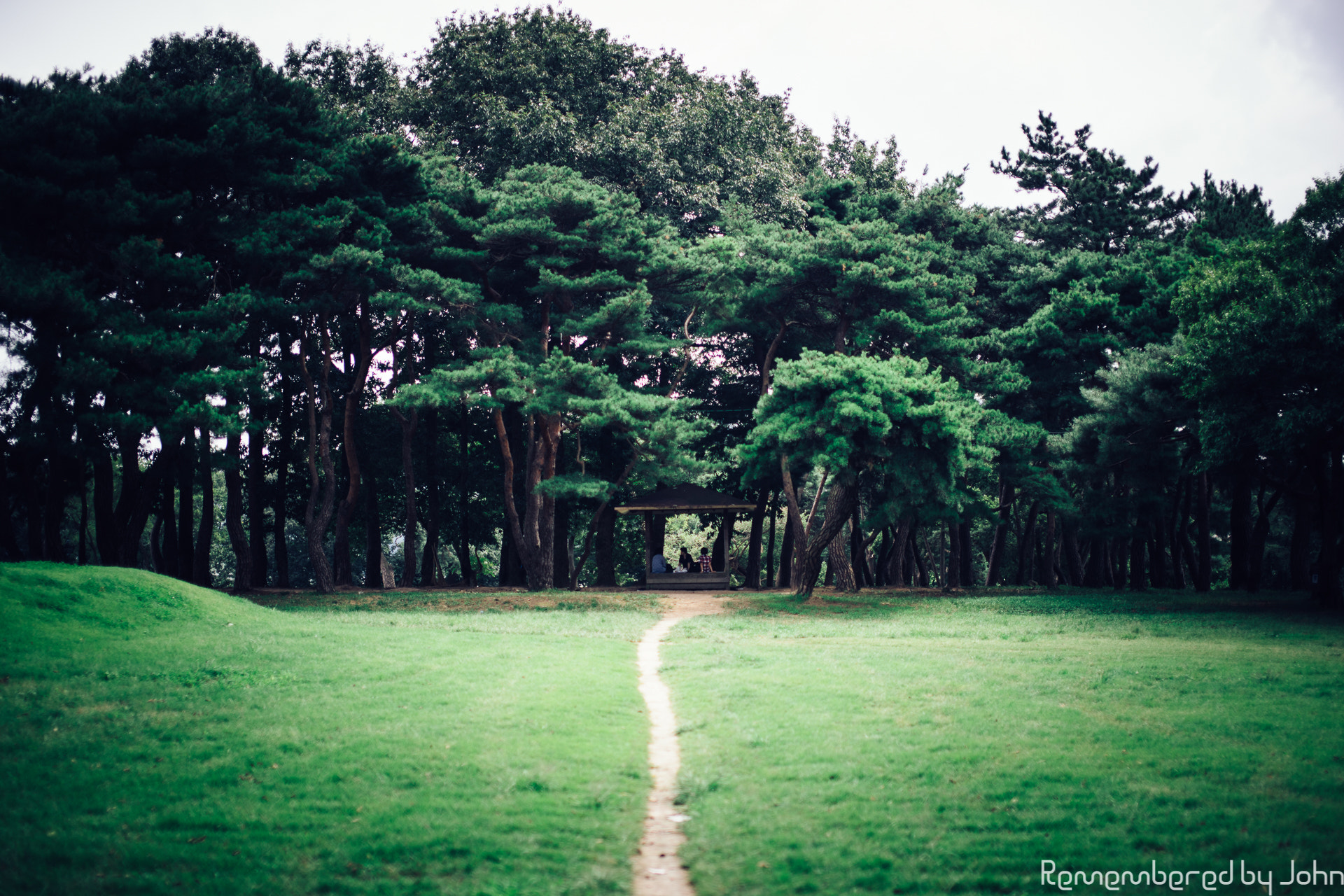Sony a7 + Sigma 50mm F1.4 EX DG HSM sample photo. To the secret place photography