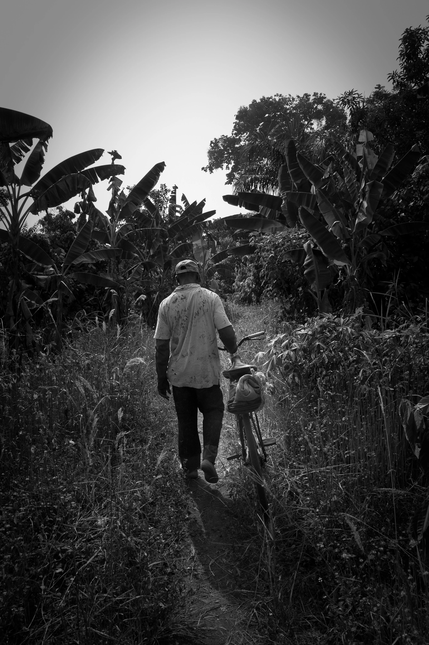 Canon EF-S 17-55mm F2.8 IS USM sample photo. Cocoa farmer photography