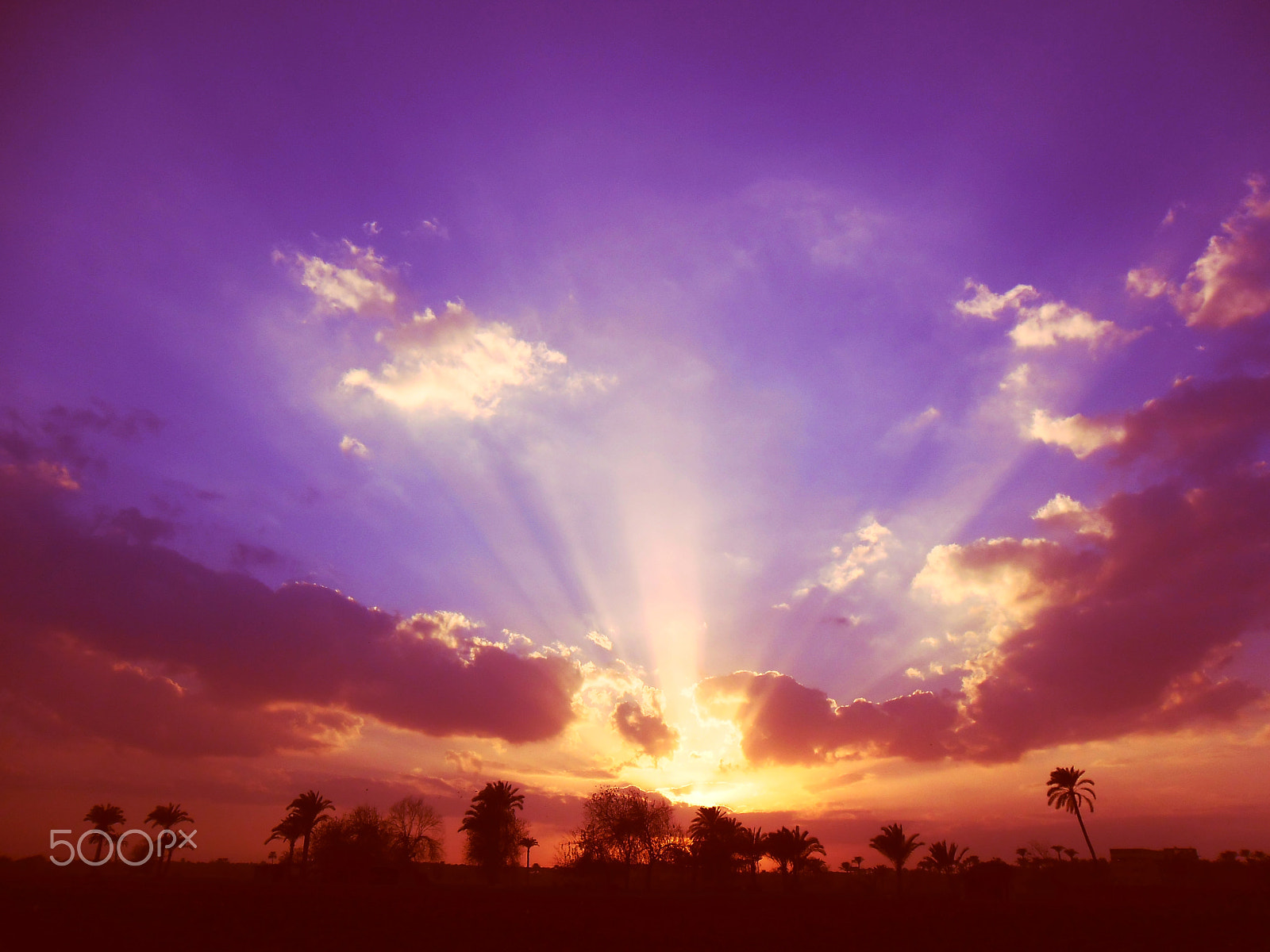 Samsung ES80/ ES81 sample photo. Sunset photography