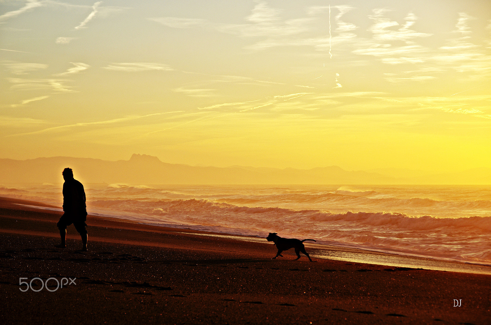Pentax K-5 sample photo. More beautiful the life ? ... photography