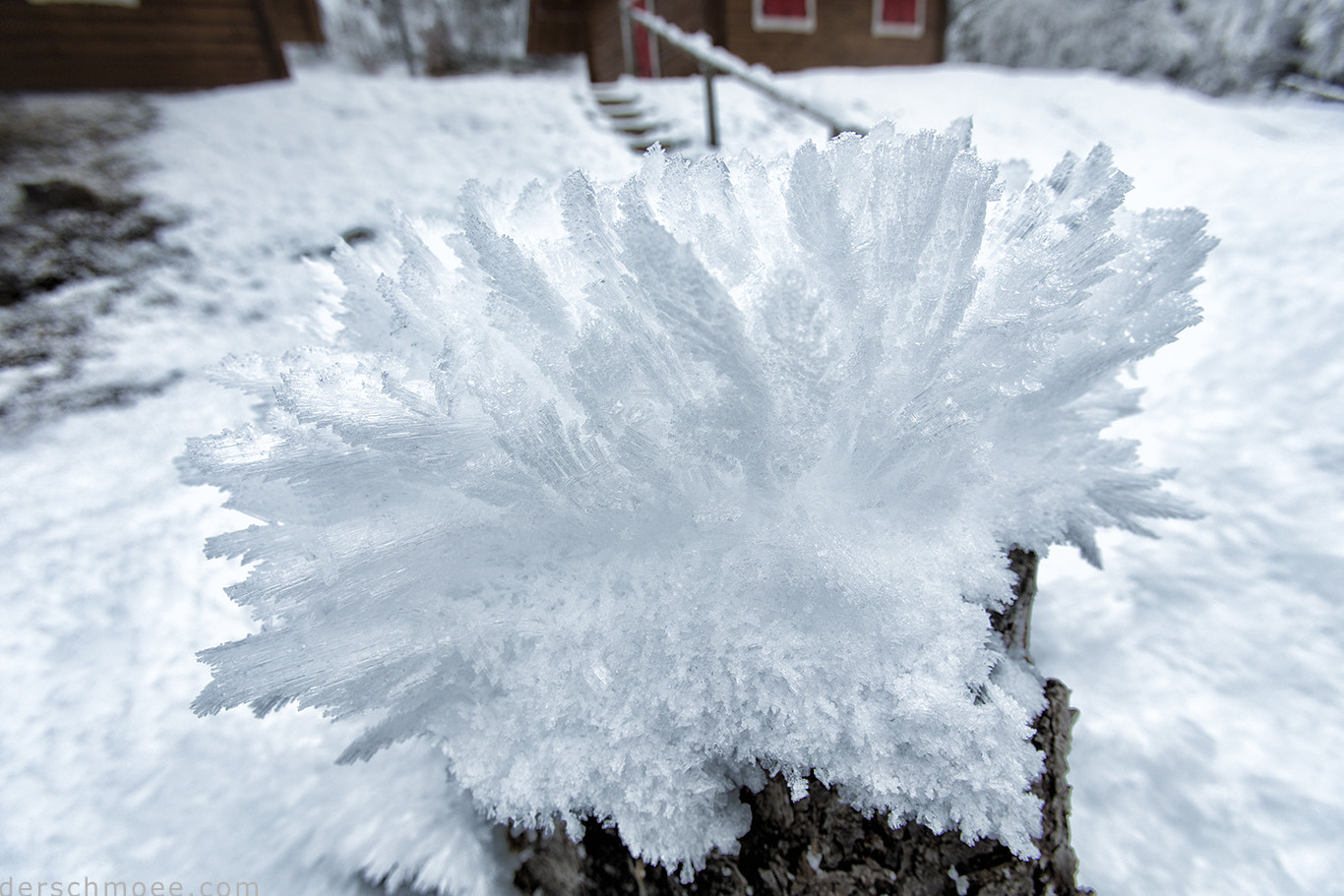 Canon EOS-1D X + Canon EF 16-35mm F2.8L USM sample photo. Frozen situation photography