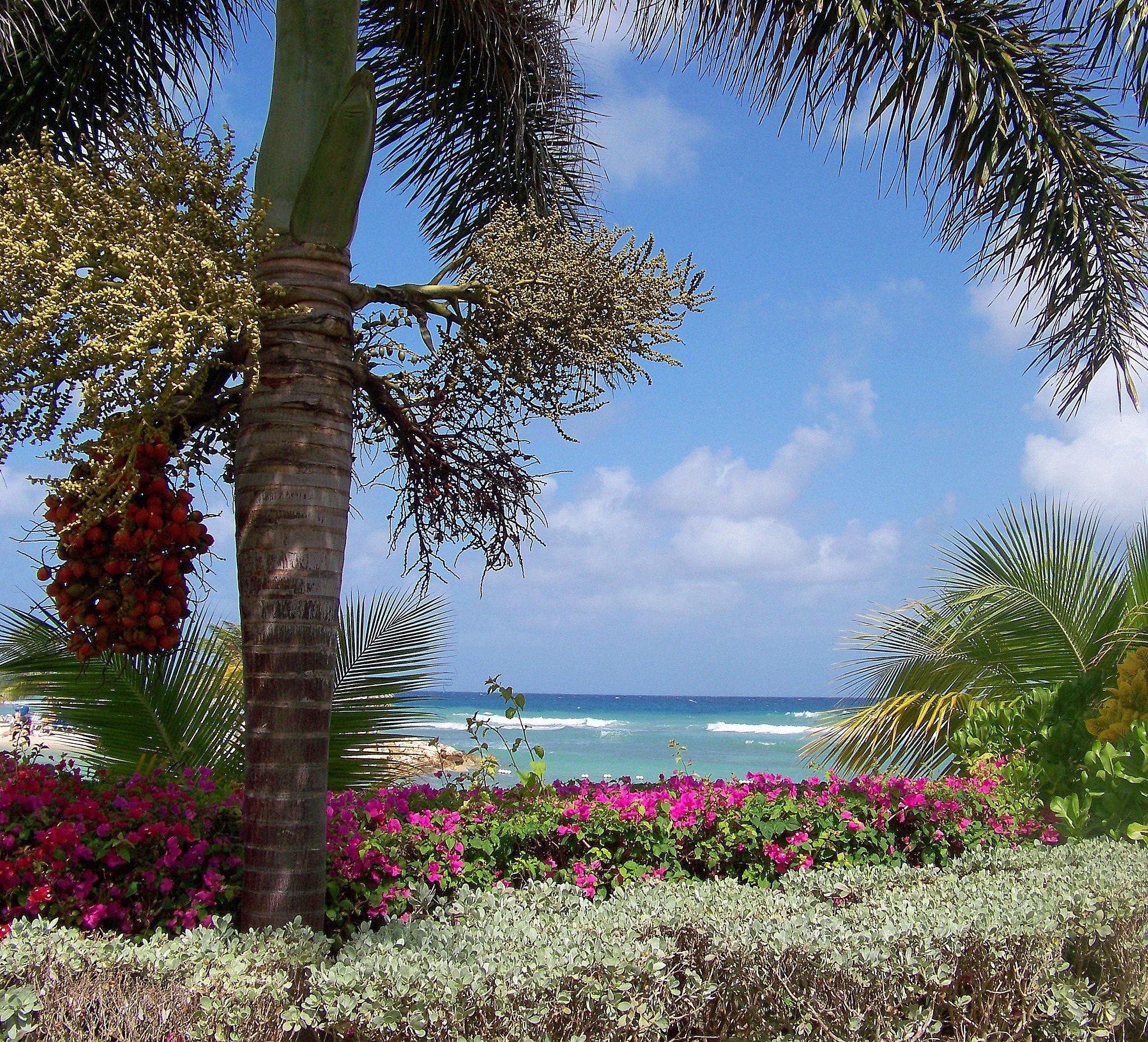 Kodak EASYSHARE Z8612 IS DIGITAL CAMERA sample photo. Tropical paradise photography
