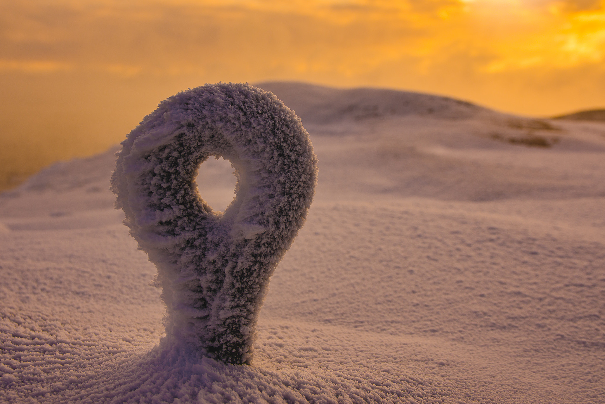 Sigma 17-70mm F2.8-4 DC Macro OS HSM | C sample photo. Frozen eye photography