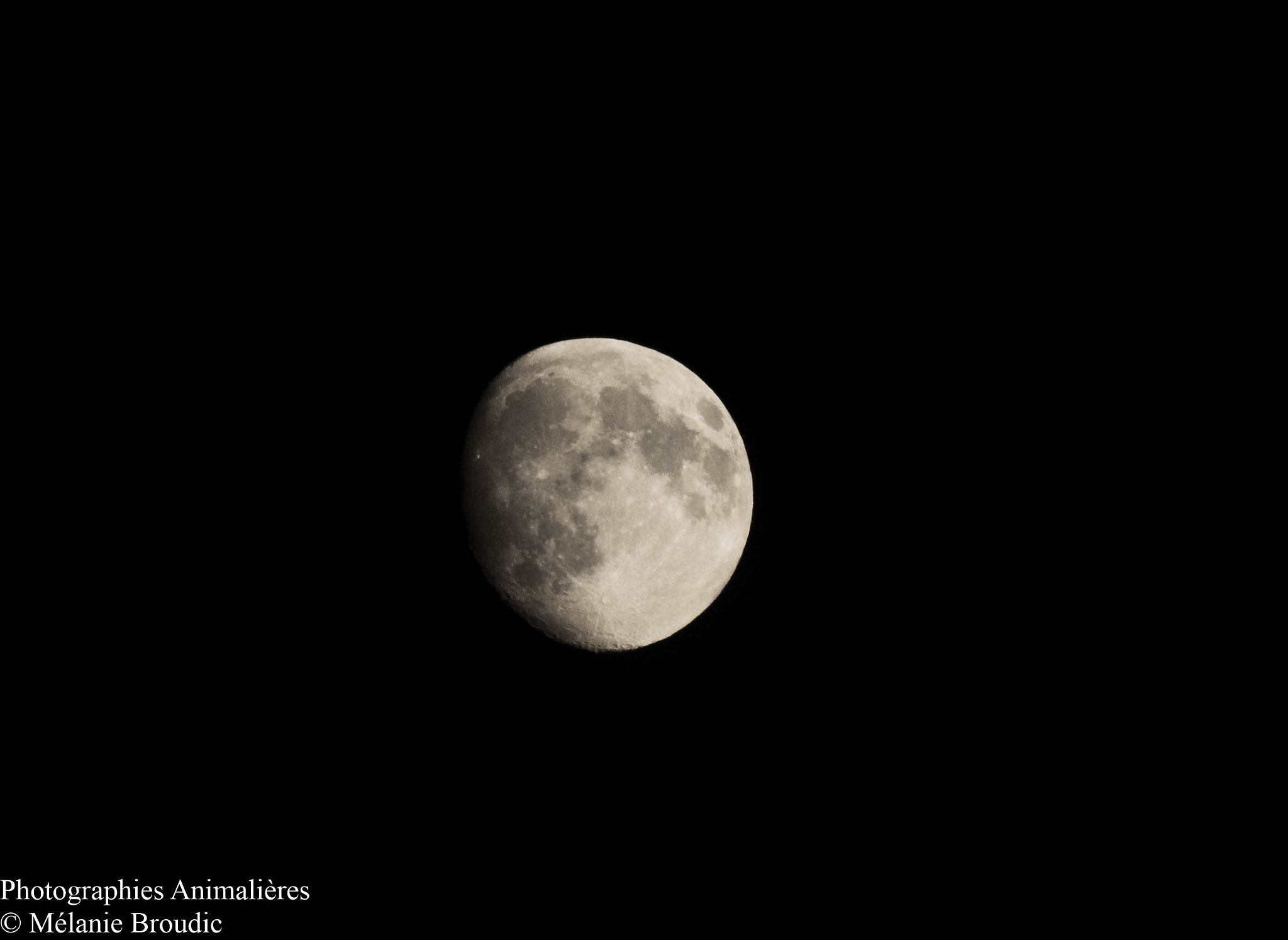 Pentax K-50 + Sigma sample photo. Le clair du lune photography