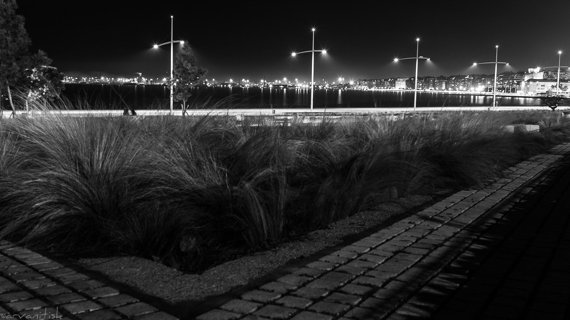 Canon EF 24-70mm F4L IS USM sample photo. Nightstalker photography