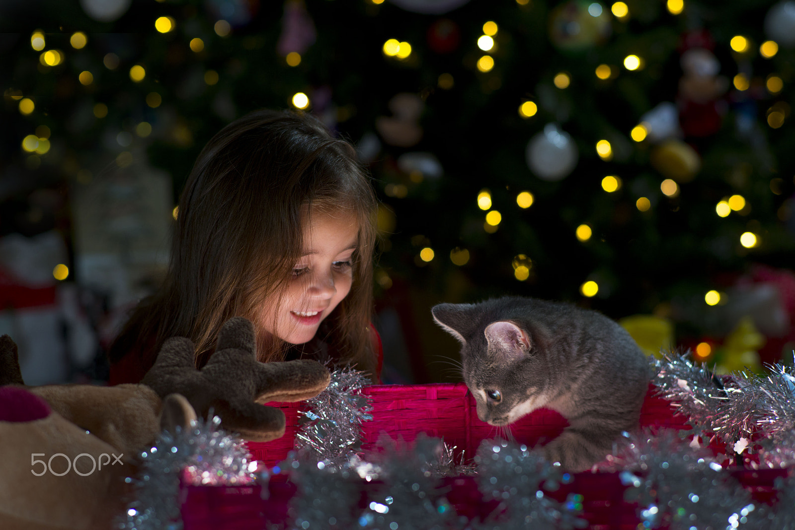 ZEISS Planar T* 85mm F1.4 sample photo. Suprise photography