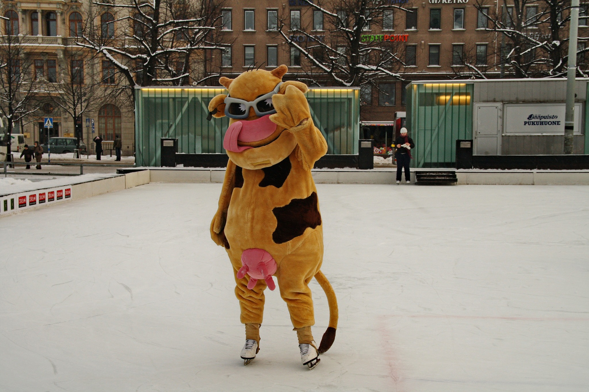 Sigma 18-125mm F3.8-5.6 DC OS HSM sample photo. Cow on ice photography