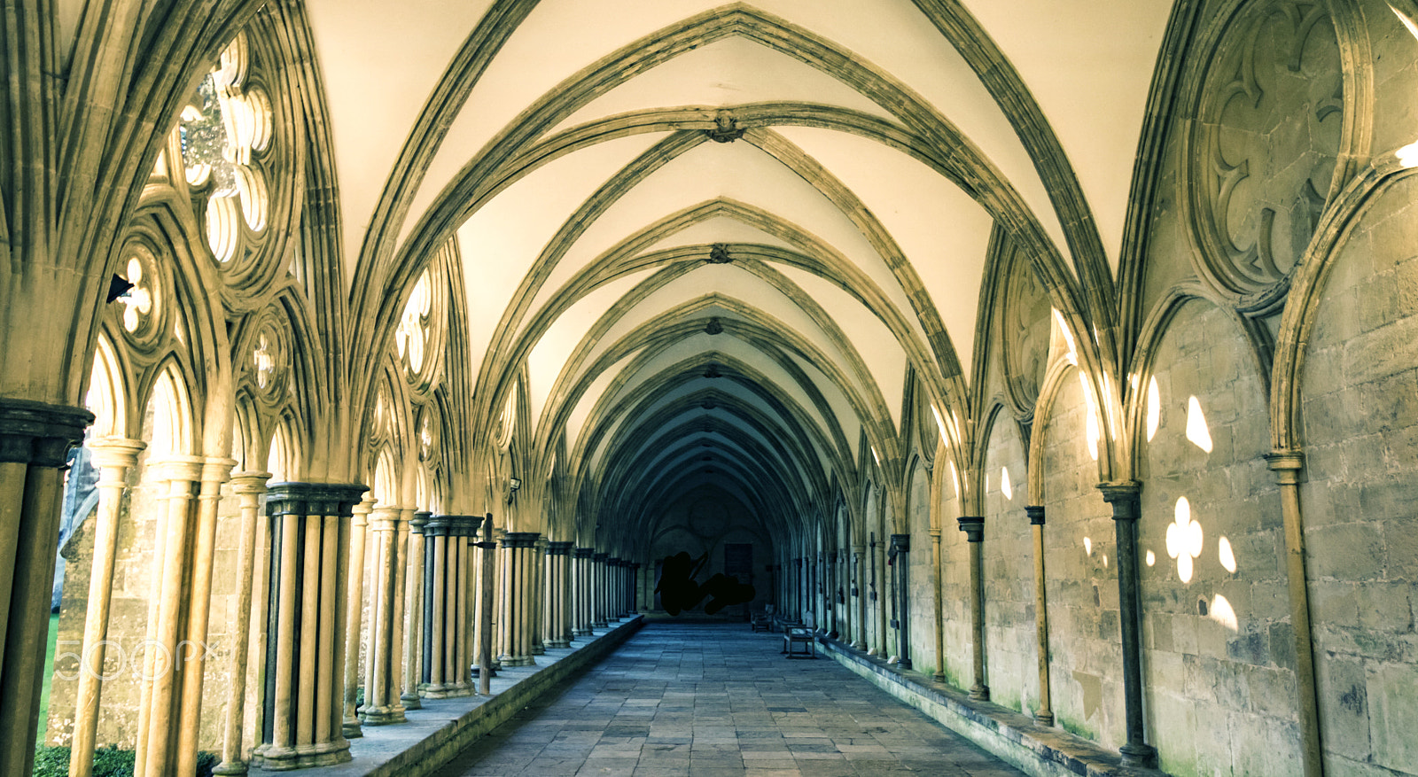 Canon EOS 750D (EOS Rebel T6i / EOS Kiss X8i) + Canon EF-S 10-18mm F4.5–5.6 IS STM sample photo. Salisbury cathedral cloisters photography