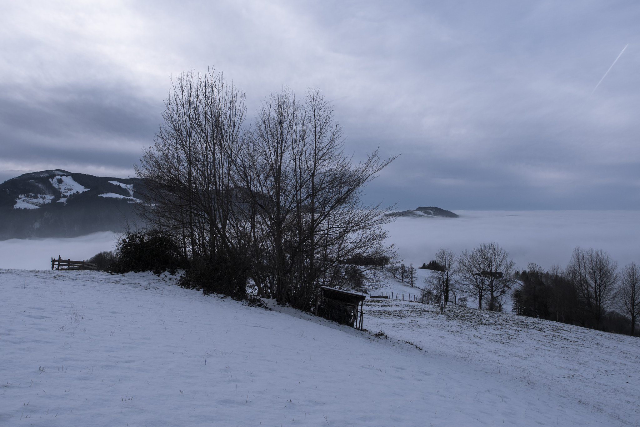 Olympus Zuiko Digital ED 12-60mm F2.8-4.0 SWD sample photo. A winter's tale photography