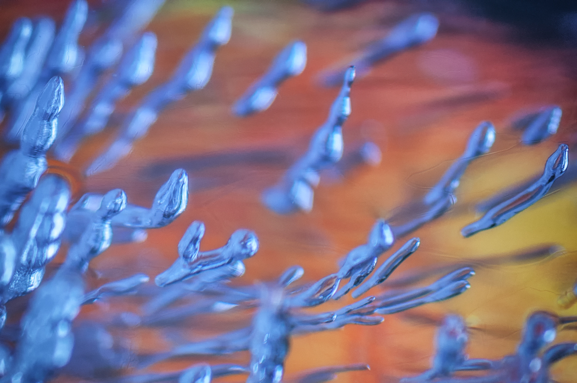 Sigma 105mm F2.8 EX DG Macro sample photo. Happy water photography