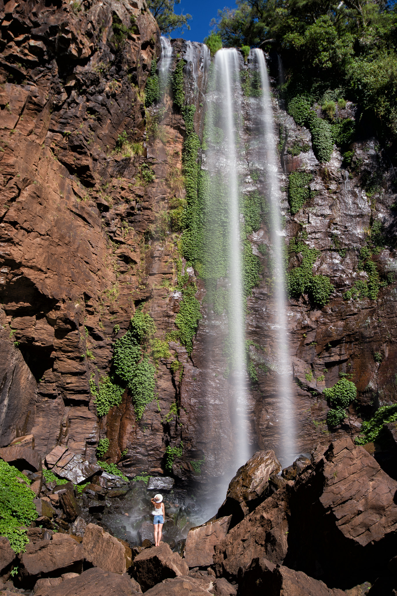 Nikon Df sample photo. Dwarfed by nature photography