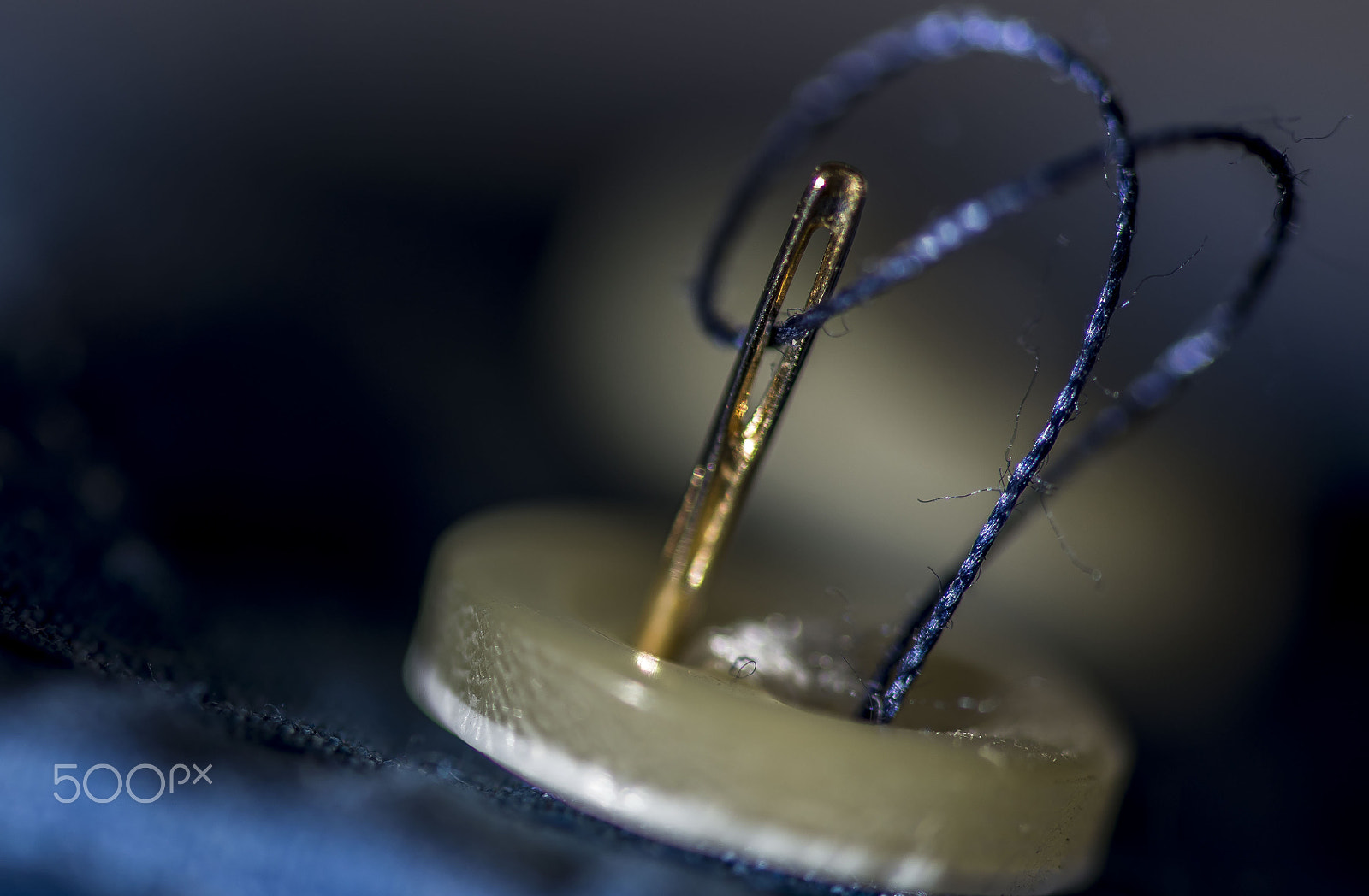 Sigma 105mm F2.8 EX DG OS HSM sample photo. Button it photography