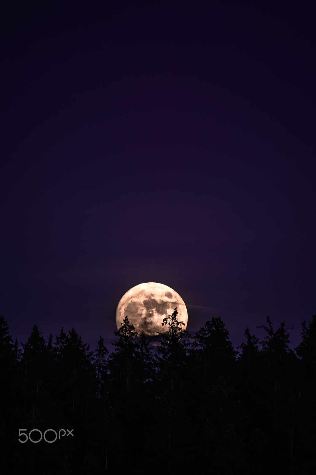 Nikon D7100 sample photo. Moonrise photography