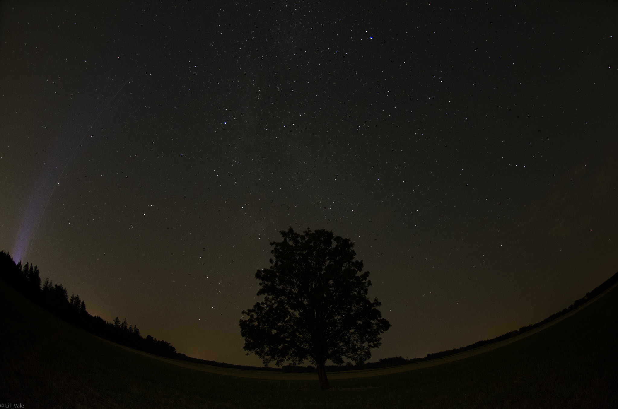 Nikon AF DX Fisheye-Nikkor 10.5mm F2.8G ED sample photo. One tree - million stars photography