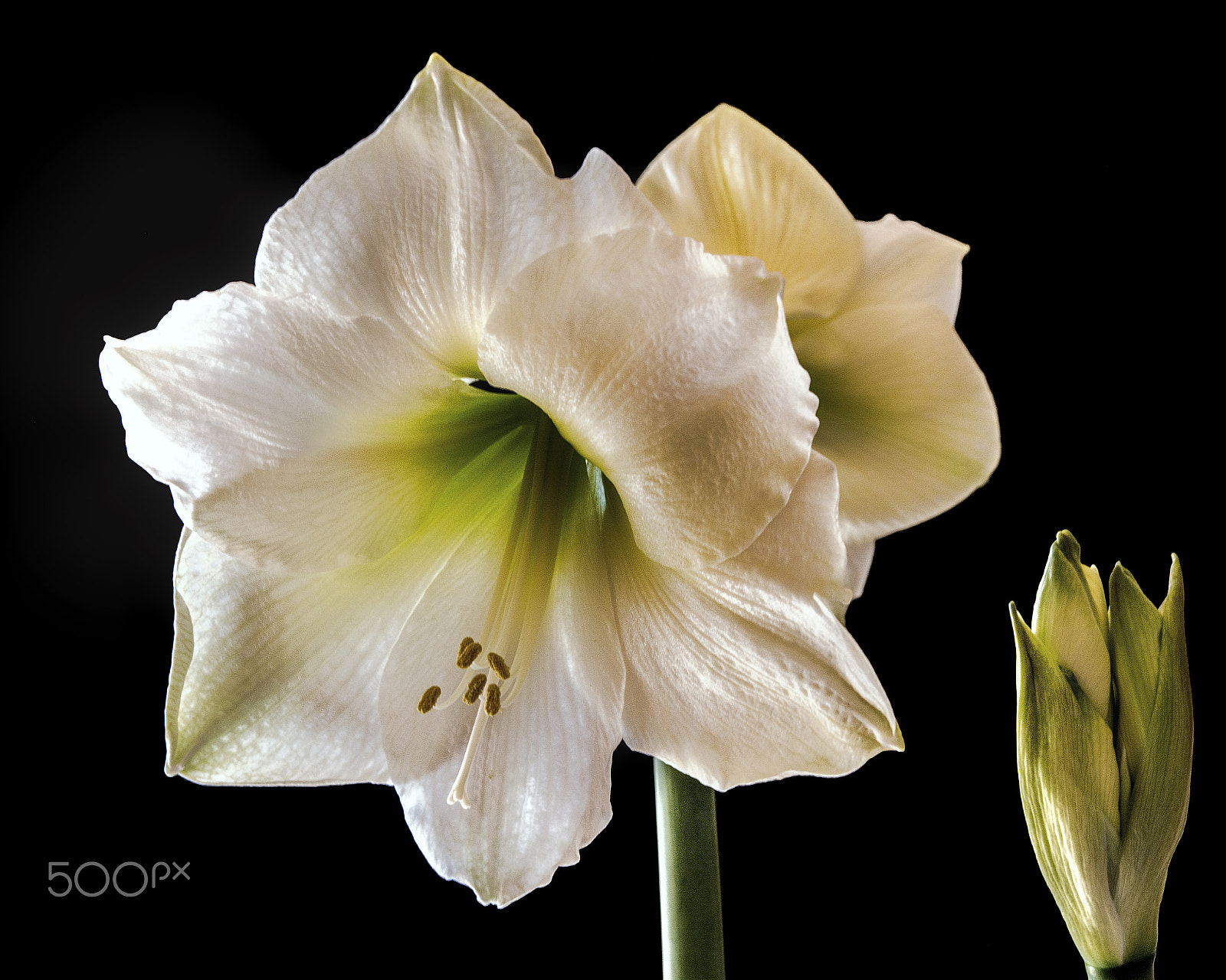 Nikon AF-S Nikkor 28-70mm F2.8 ED-IF sample photo. One waiting photography