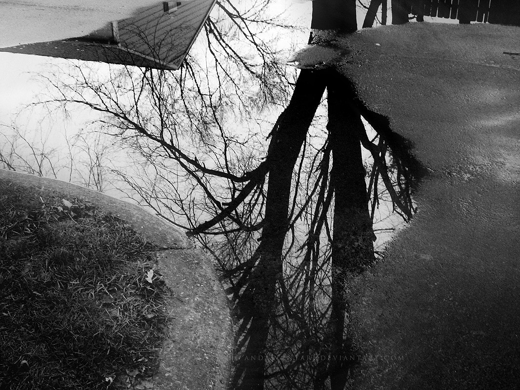Canon POWERSHOT A430 sample photo. Untitled photography