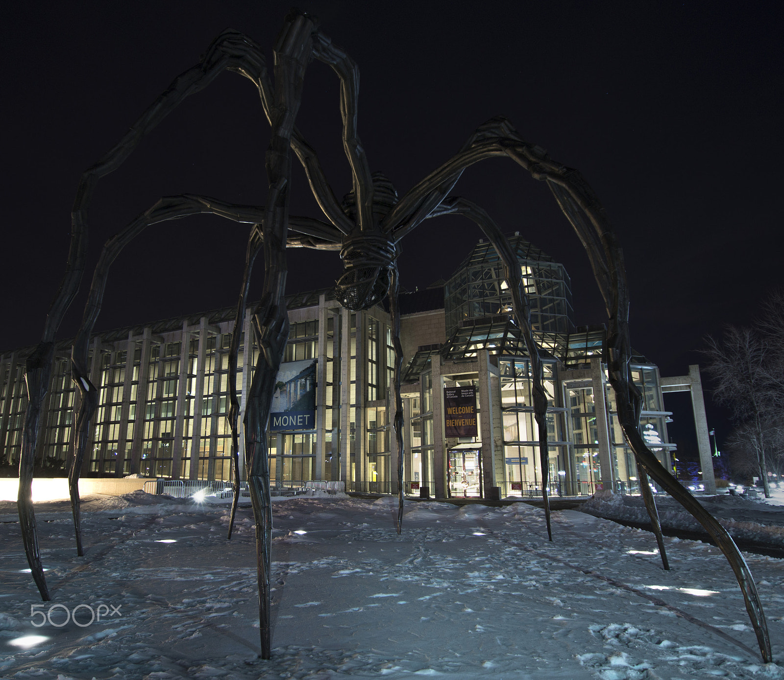Sony SLT-A58 + Sigma 10-20mm F3.5 EX DC HSM sample photo. Spider of ottawa photography
