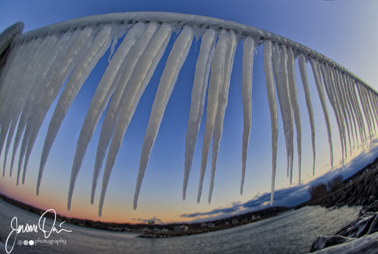 Canon EF 15mm F2.8 Fisheye sample photo. Frozen jaws photography