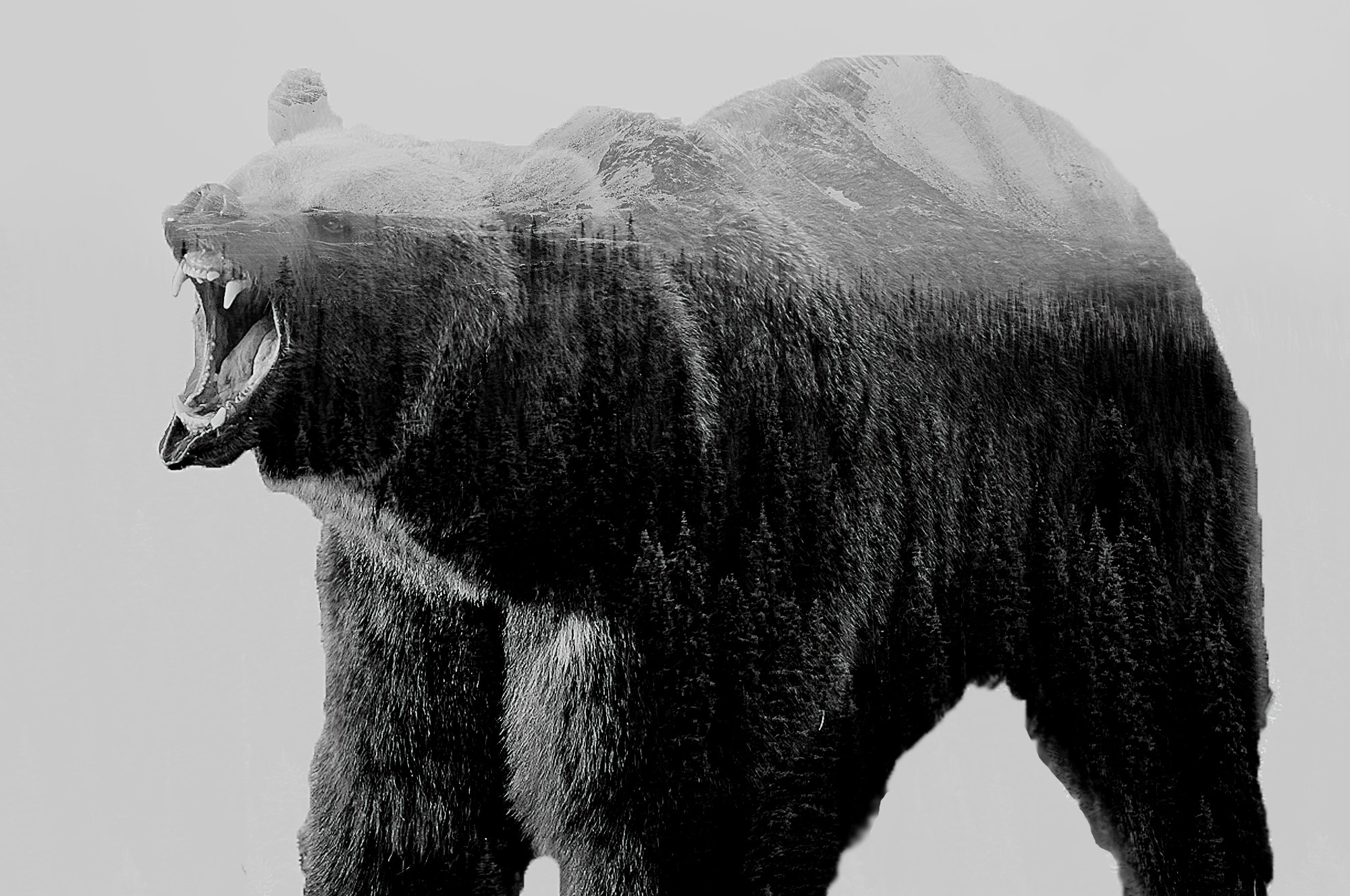 Canon EF 300mm F2.8L IS USM sample photo. Grizzly photography