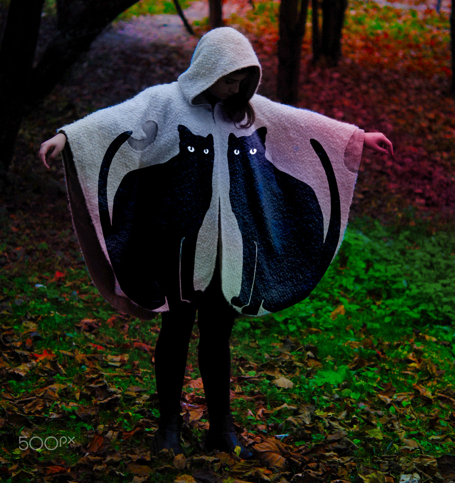 Nikon AF-S Micro-Nikkor 60mm F2.8G ED sample photo. Alice in wonderland photography
