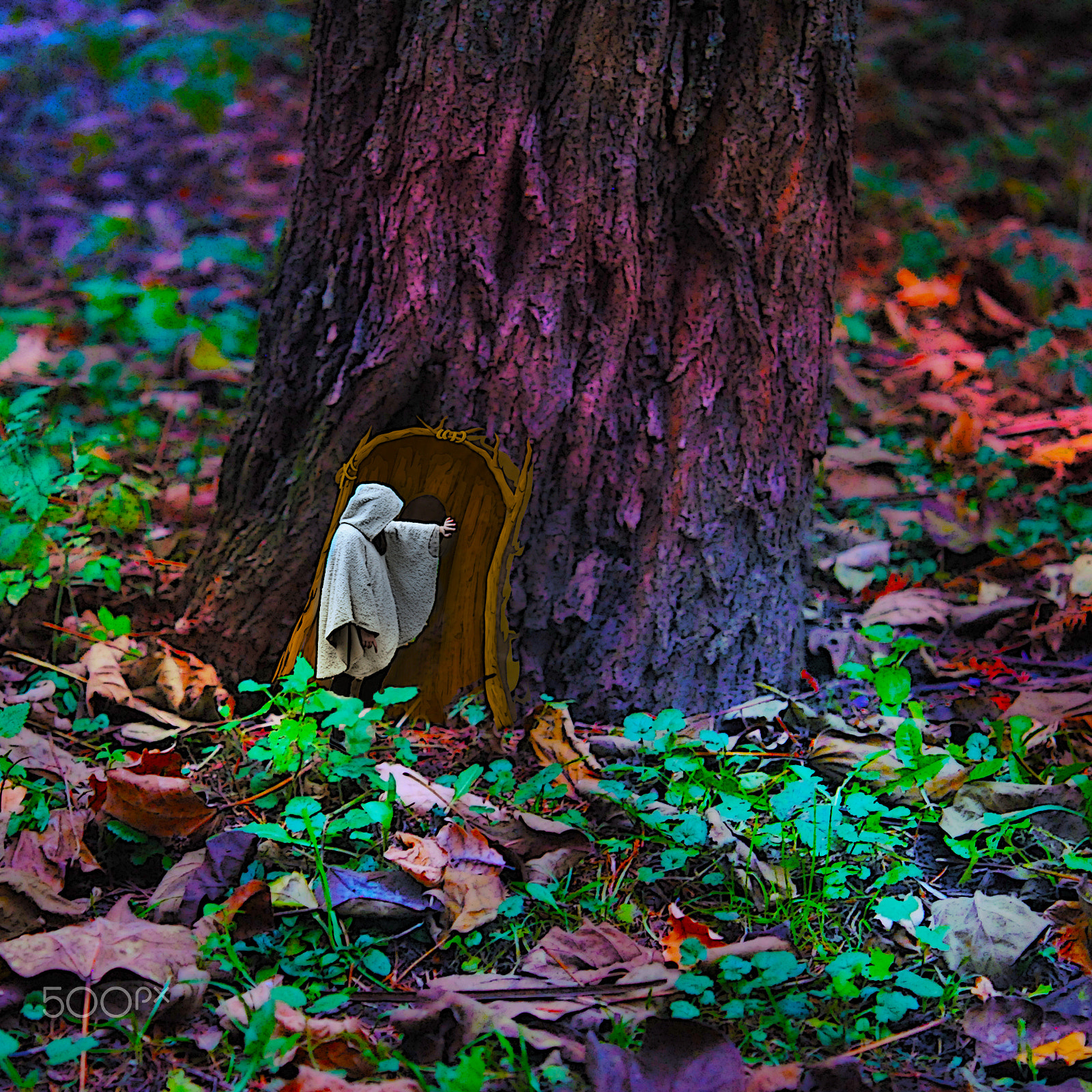 Nikon AF-S Micro-Nikkor 60mm F2.8G ED sample photo. Alice in wonderland 1.2 photography