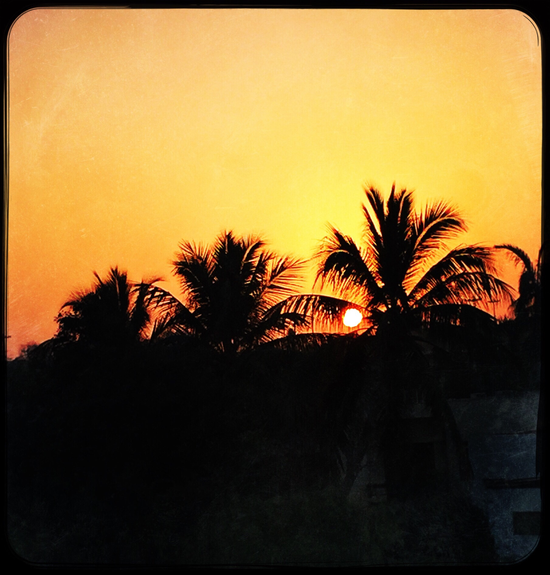 Hipstamatic 305 sample photo. Morning sunset photography