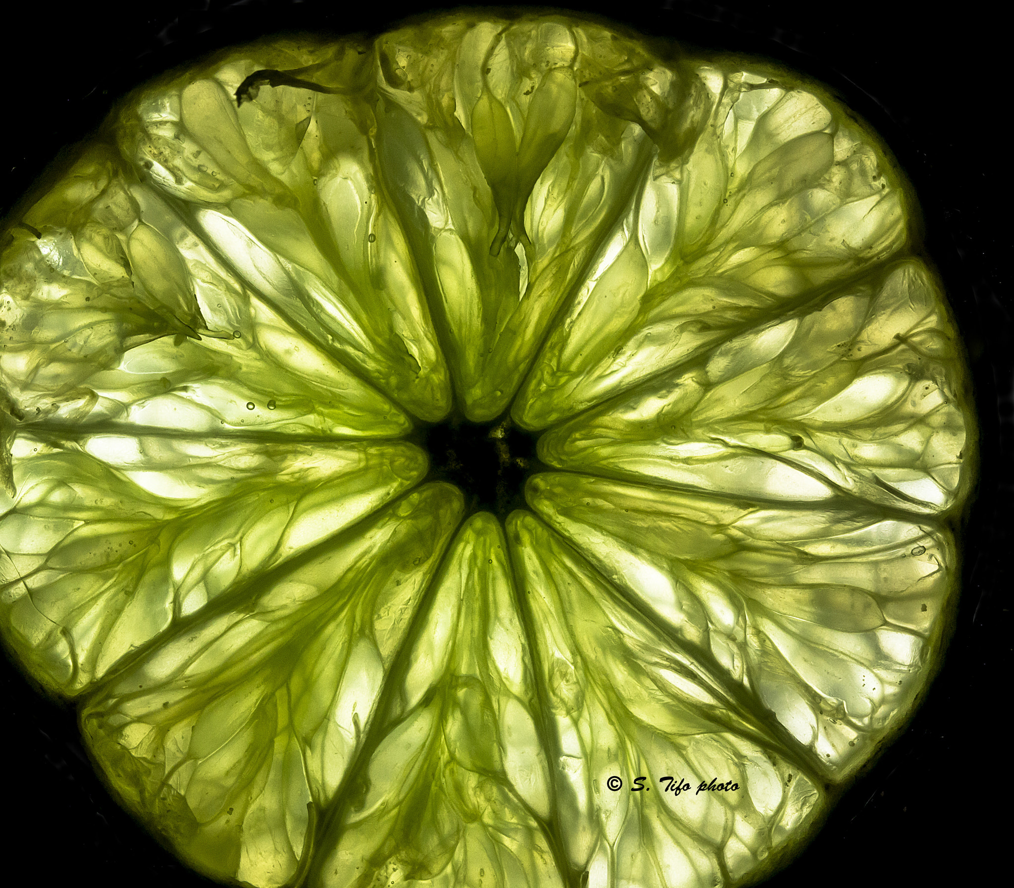 Canon EF-S 60mm F2.8 Macro USM sample photo. Lime's slice .... photography