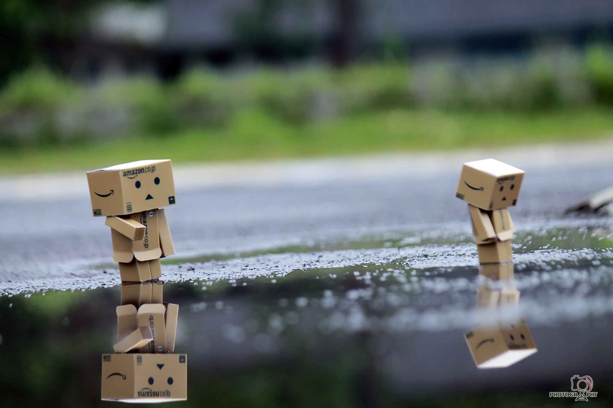Canon EOS 1100D (EOS Rebel T3 / EOS Kiss X50) sample photo. Danbo photography