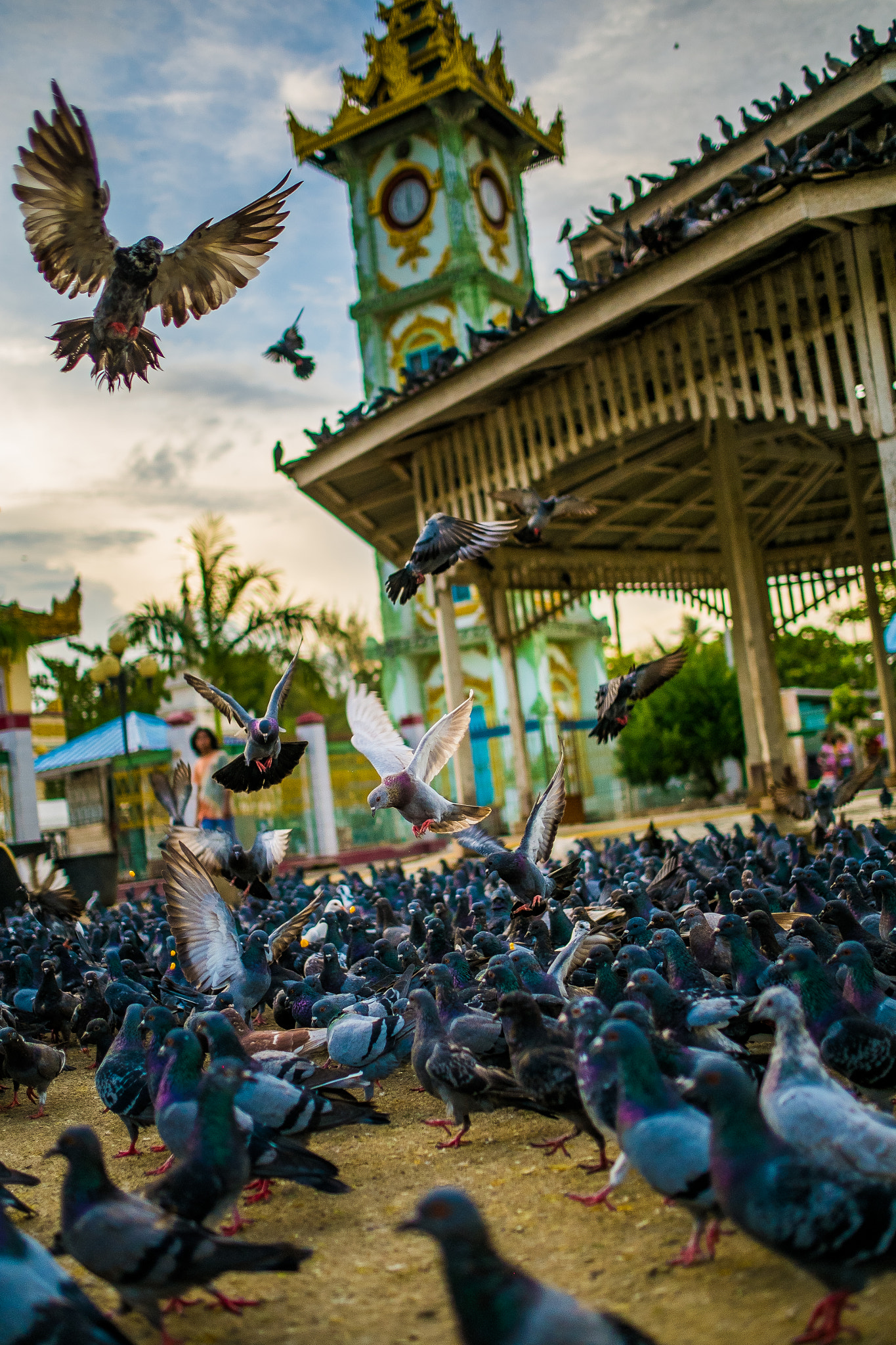 Fujifilm X-E1 + Fujifilm XF 23mm F1.4 R sample photo. Bird flock in mandalay, myanmar at sunset photography