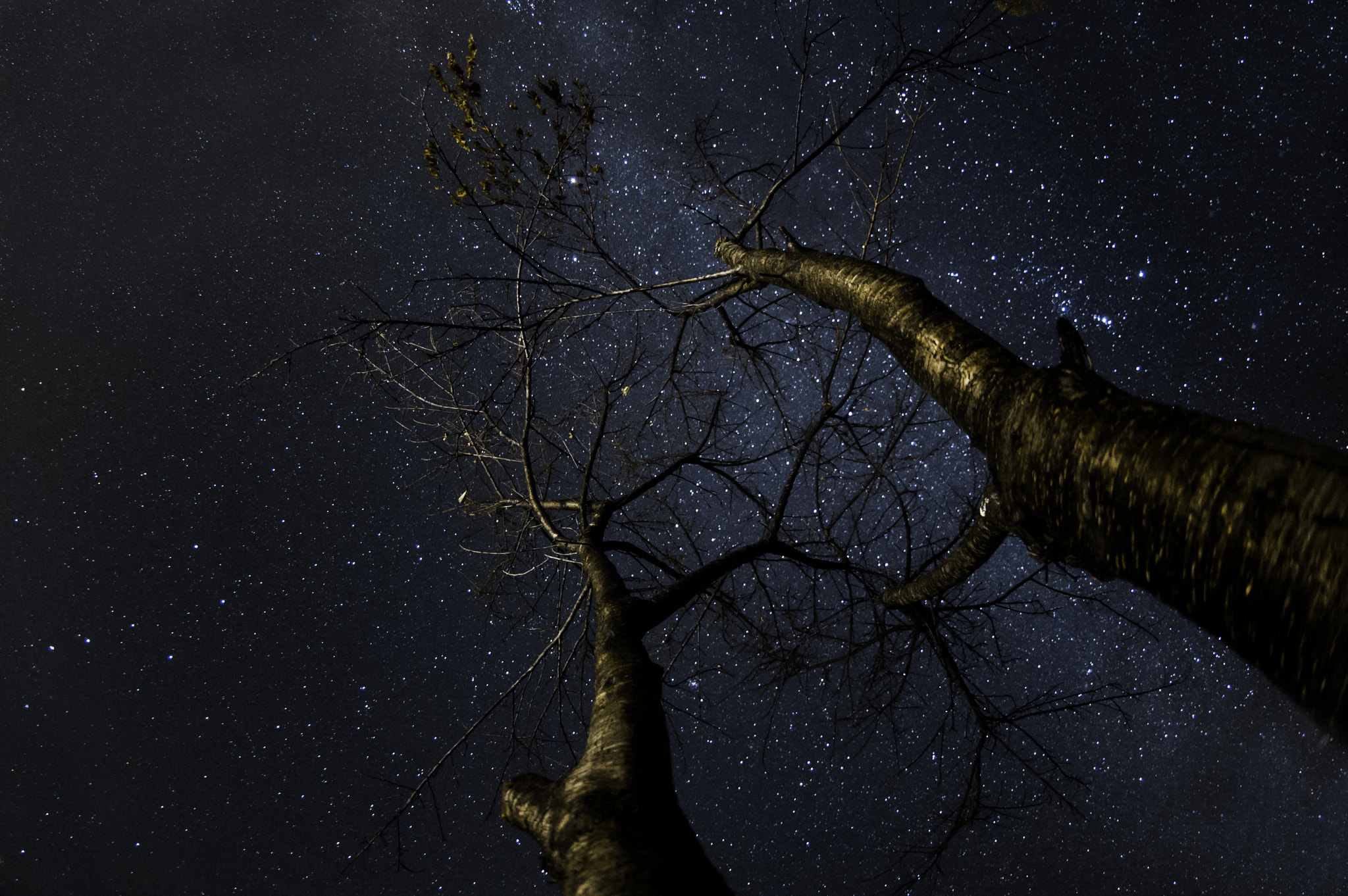 Nikon AF DX Fisheye-Nikkor 10.5mm F2.8G ED sample photo. Alone under the stars photography