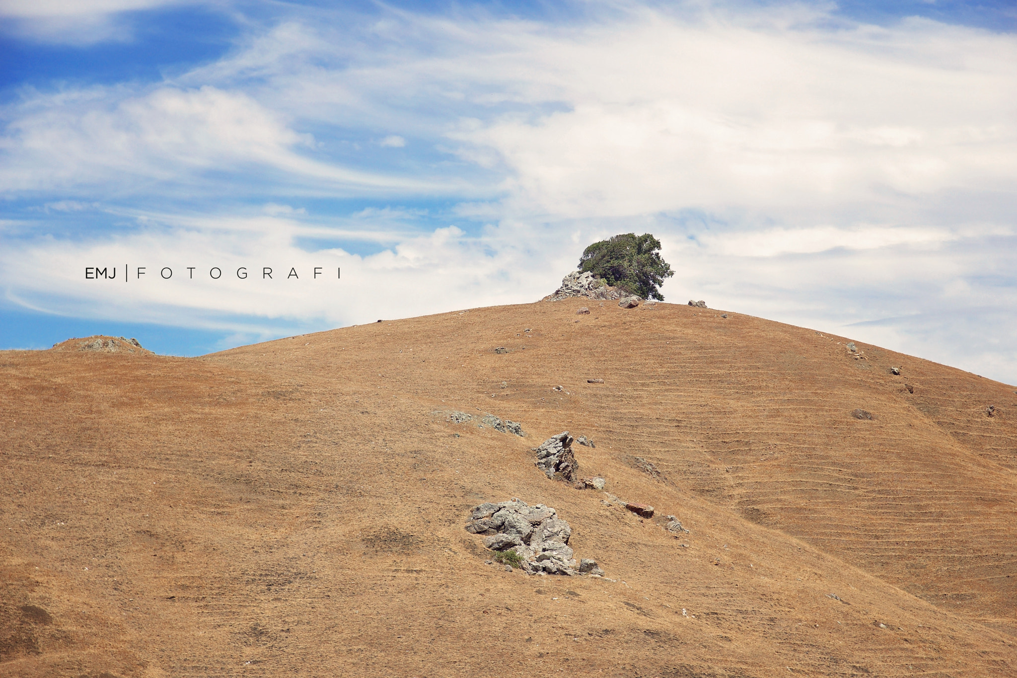 Sony a6000 + Sony Vario-Tessar T* E 16-70mm F4 ZA OSS sample photo. California roadside photography
