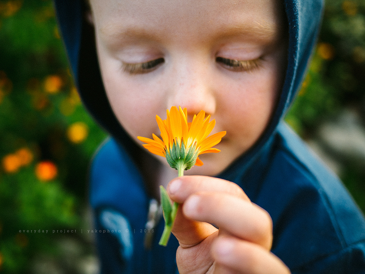 Olympus OM-D E-M10 + LUMIX G 20/F1.7 II sample photo. цветок photography
